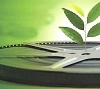 22 апреля Всероссийская акция «#ВишневыйСад: Первый экологический киноальманах» стартует на 1000 площадок страны