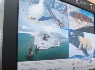 Открытие выставки «Нежная Арктика. Флора и фауна»